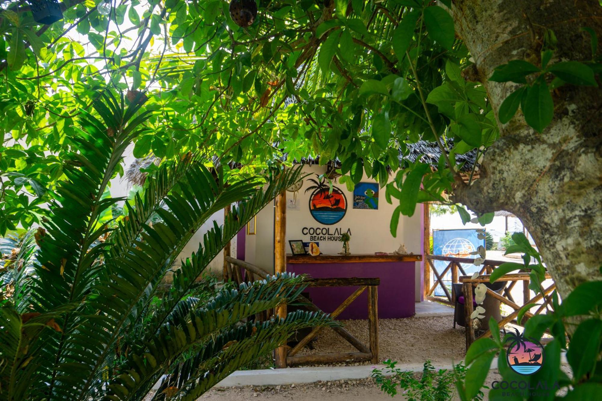 Cocolala Beach House Nungwi Extérieur photo