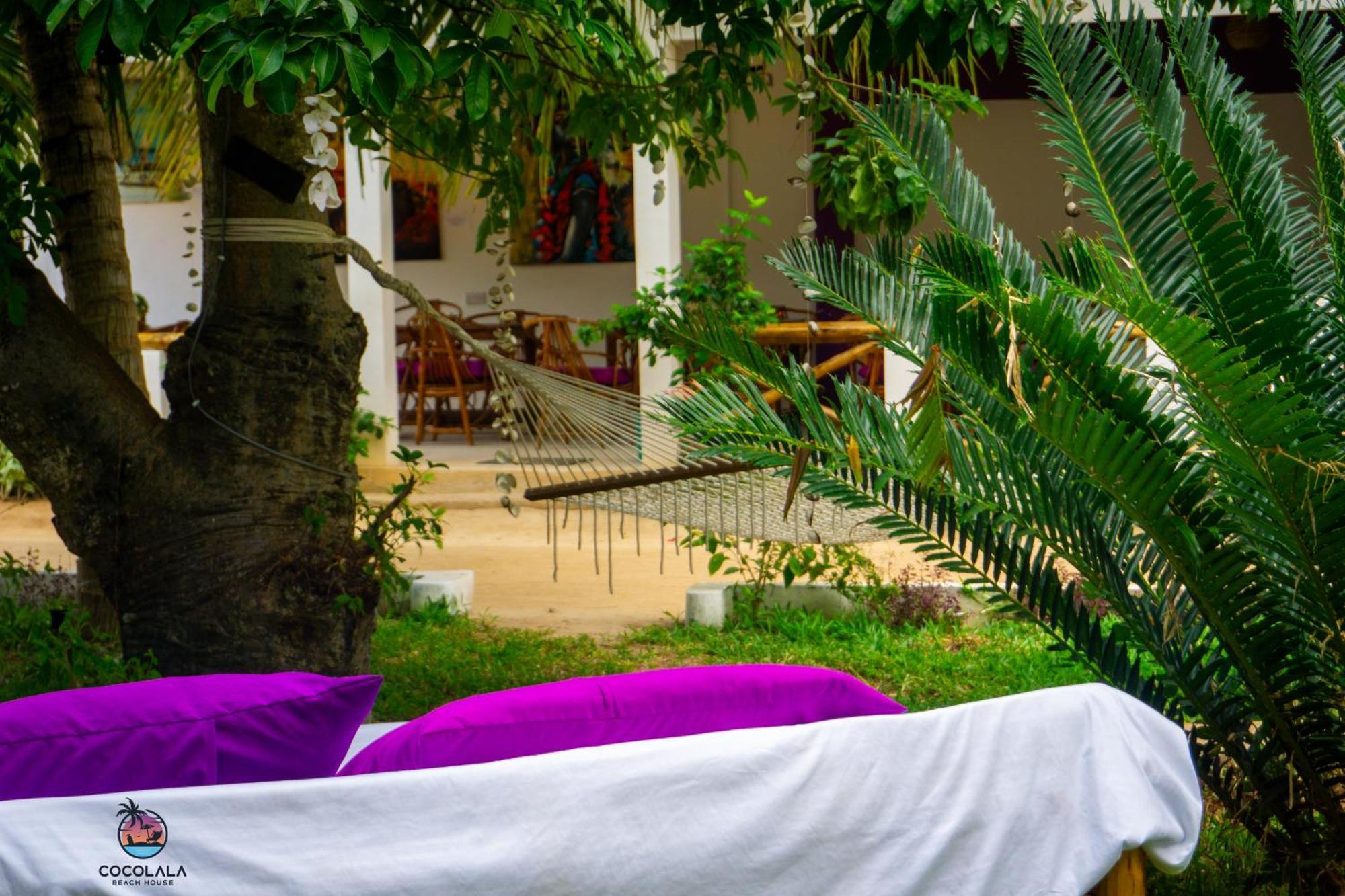 Cocolala Beach House Nungwi Extérieur photo